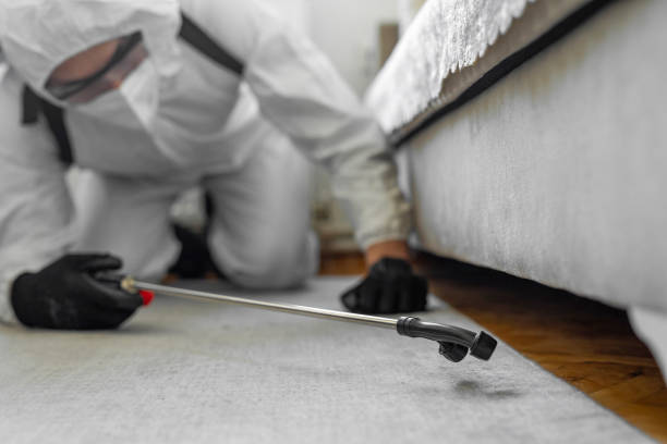 Professional Pest Control technician working in Ely, NV