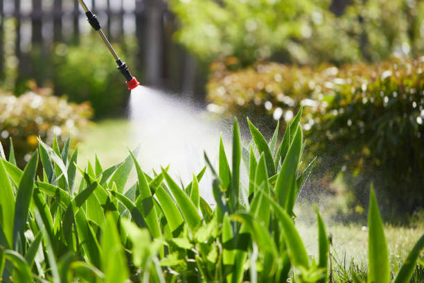 24/7 Emergency Pest Control experts in Ely, NV